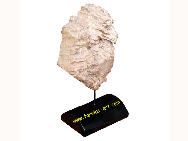 Hiasan dari Akar Fosil-Natural